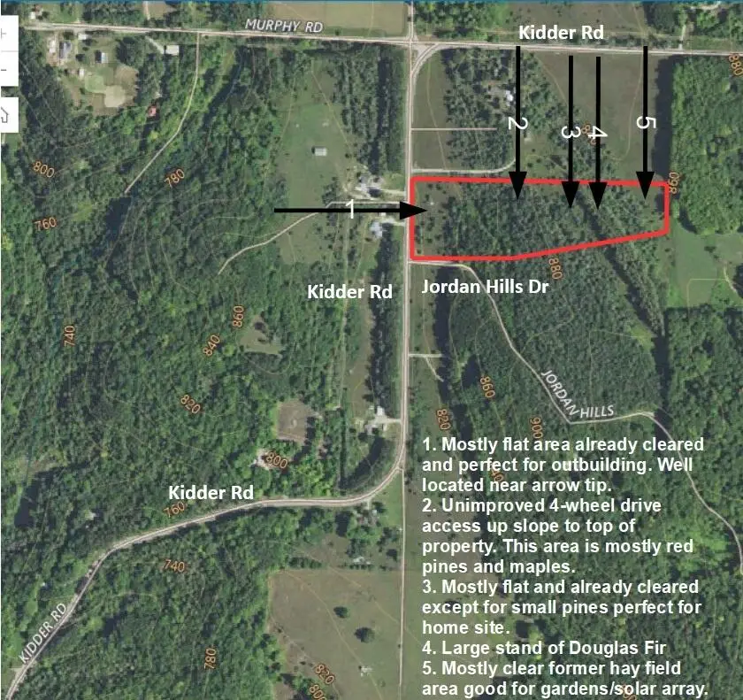 2820 Jordan Hills Drive, East Jordan, MI 49727 - #1