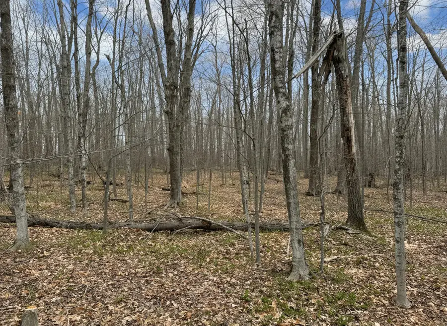 1.7 AC Latocha Road, Pellston, MI 49769 - #3