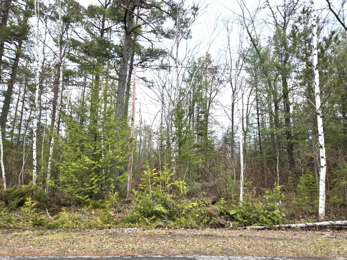 L 478-479 Balsam Circle, Presque Isle, MI 49777 - #1