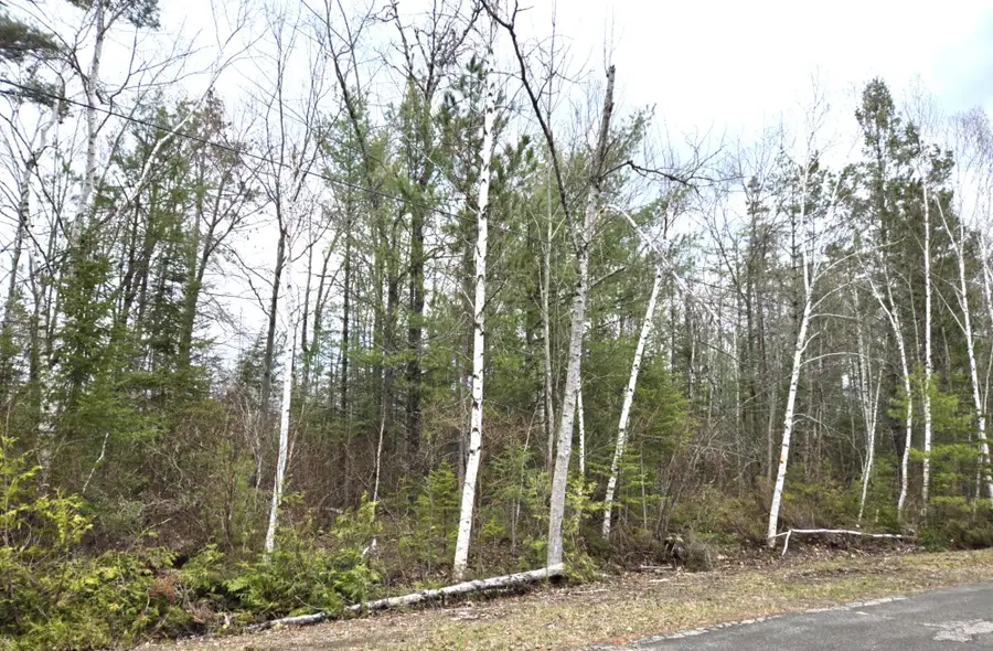 L 478-479 Balsam Circle, Presque Isle, MI 49777 - #2