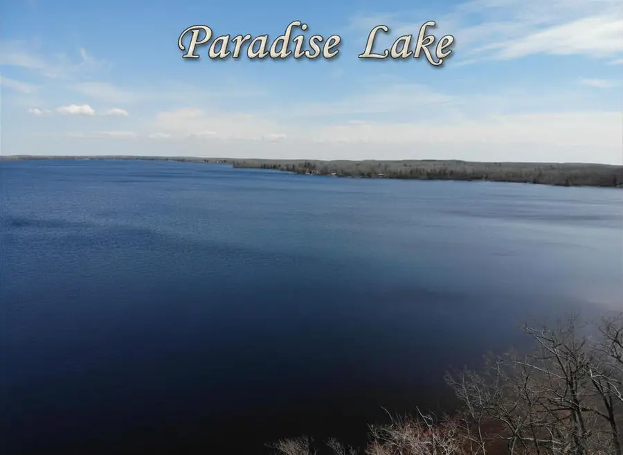 6398 Paradise Trail, Carp Lake, MI 49718 - #2