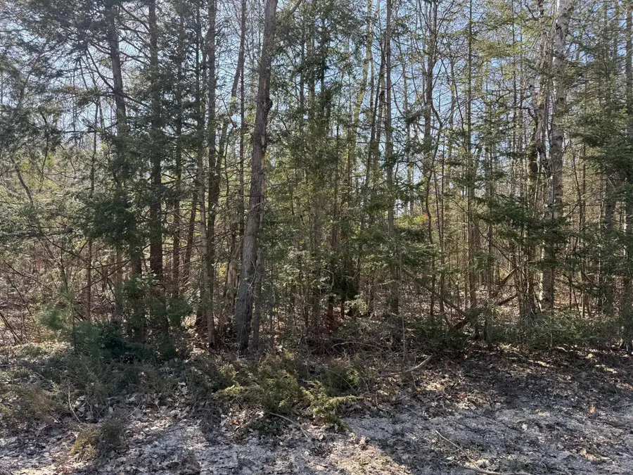 14211 Waldmar Court, Cheboygan, MI 49721 - #3