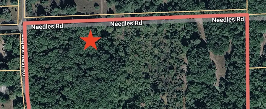Par 3 Needles Road, Indian River, MI 49749 - #2