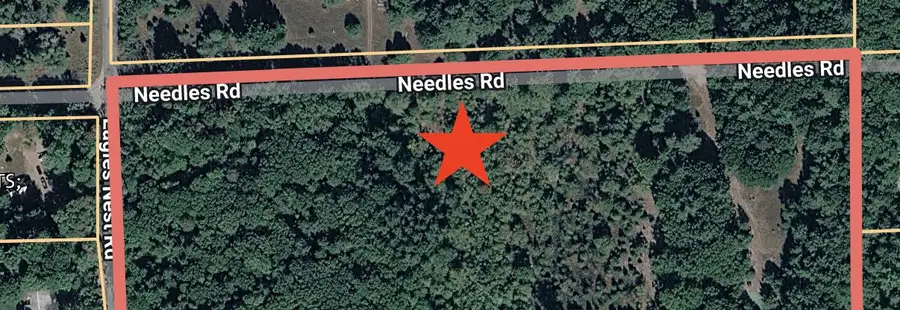 Par 4 Needles Road, Indian River, MI 49749 - #2