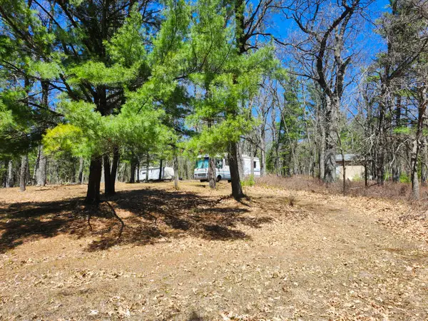 Parcel 25 Downs Drive, Houghton Lake, MI 48629