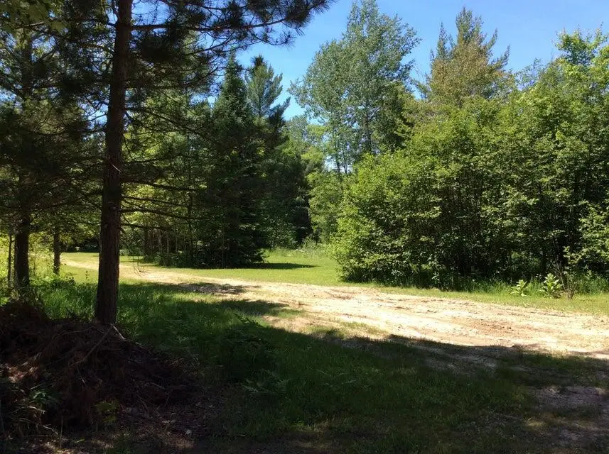 Address Withheld By Seller, Lewiston, MI 49756 - #2