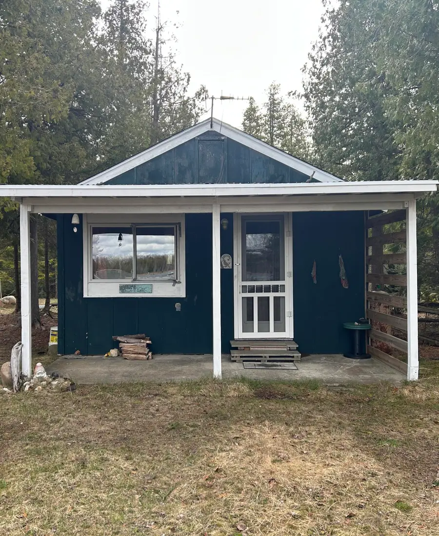 6711 Lappan Road, Alpena, MI 49707 - #2