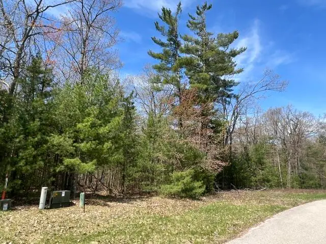 Lot 5 Waubun Beach Road, Indian River, MI 49749 - #3