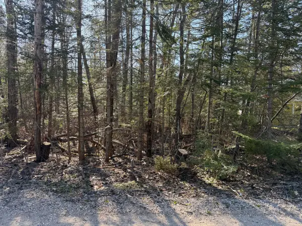 14241 Waldmar Court, Cheboygan, MI 49721