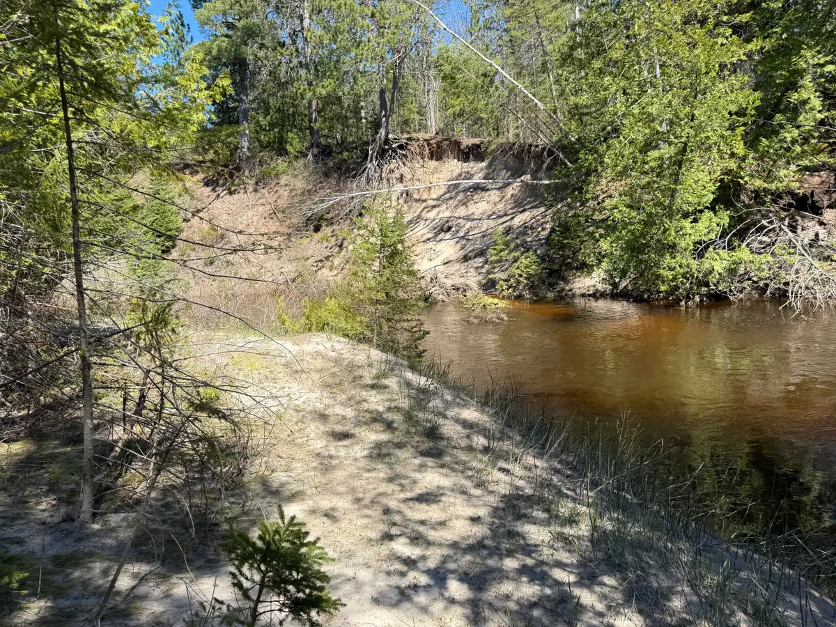22.70 AC S River Lane, Ocqueoc, MI 49759 - #1
