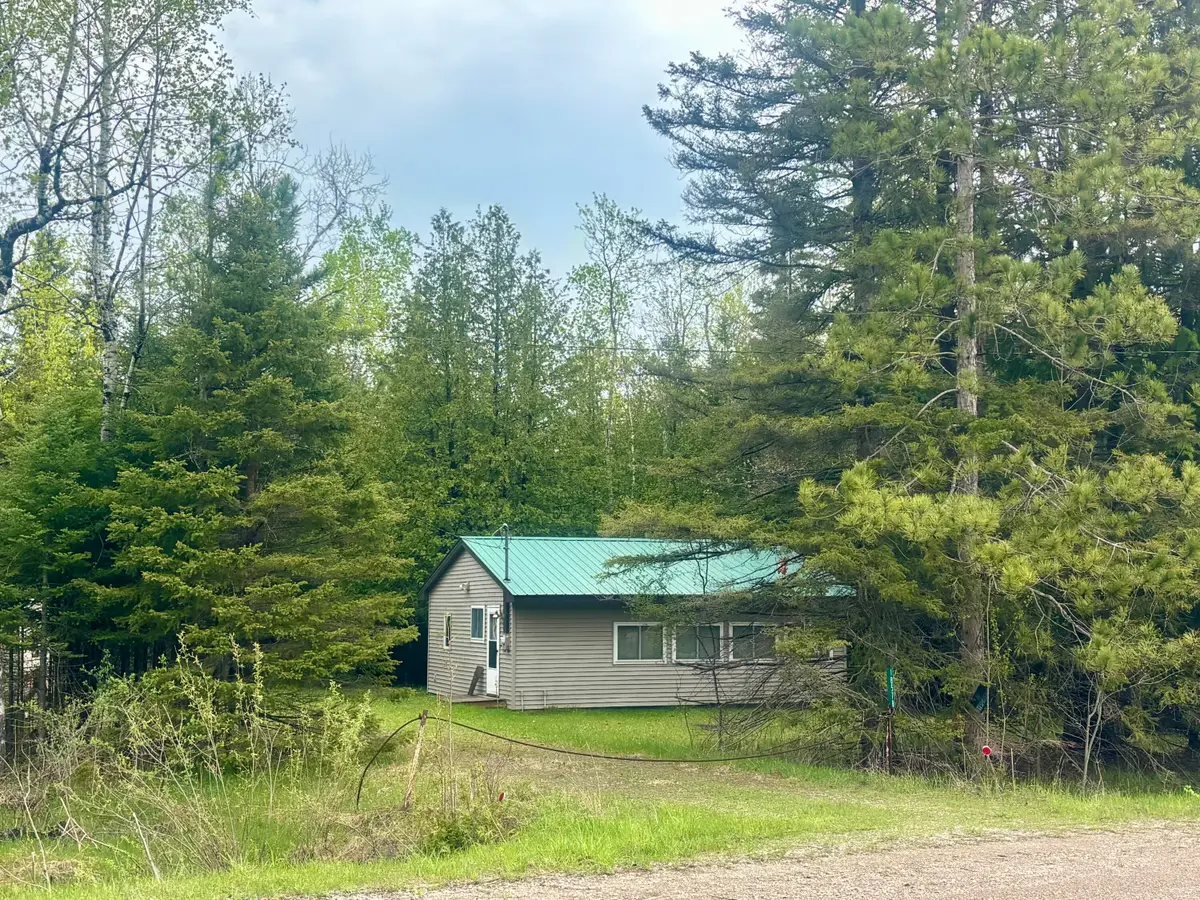 18578 N Allis Highway, Onaway, MI 49765 - #1