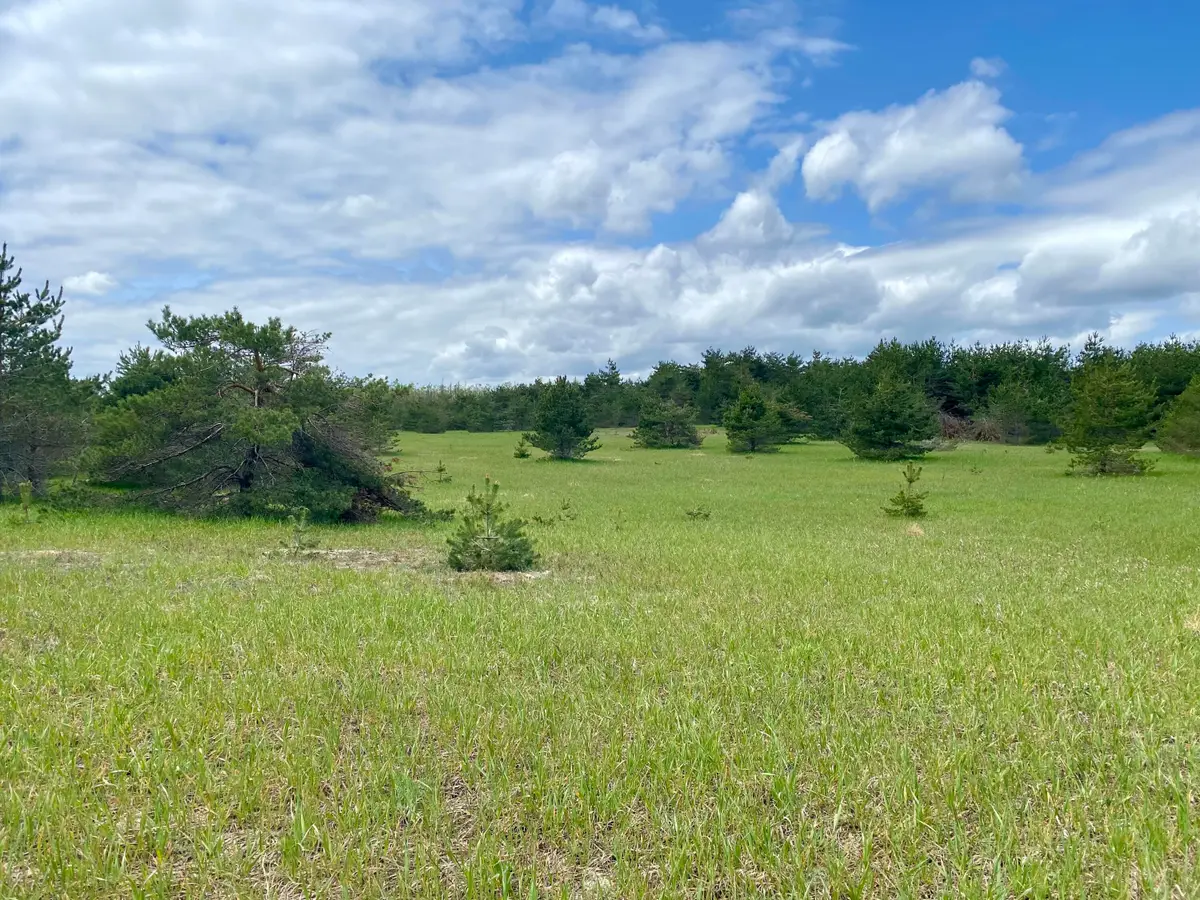 11.5 AC N Townline Road, Gaylord, MI 49735 - #1