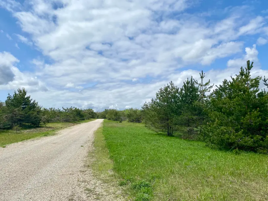 11.5 AC N Townline Road, Gaylord, MI 49735 - #3