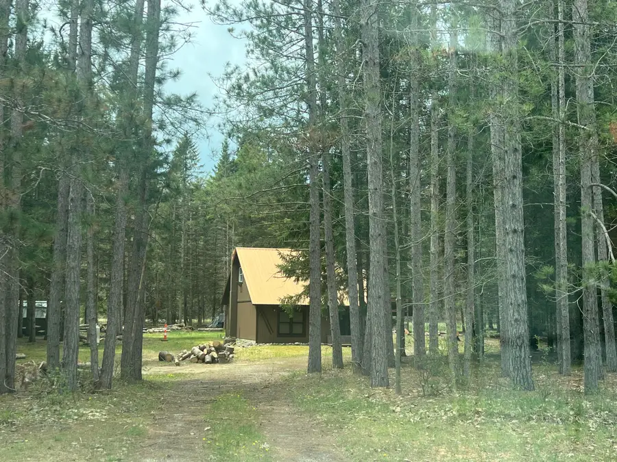 8749 Twin Bridge Road, Grayling, MI 49738 - #2