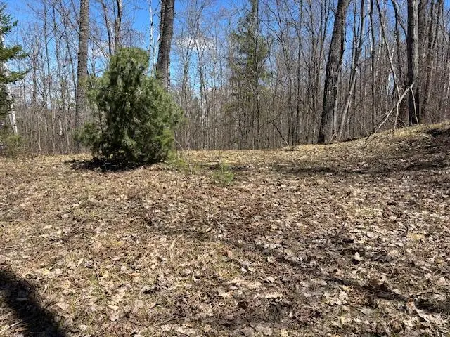 10098 N Old 27, Frederic, MI 49733 - #3