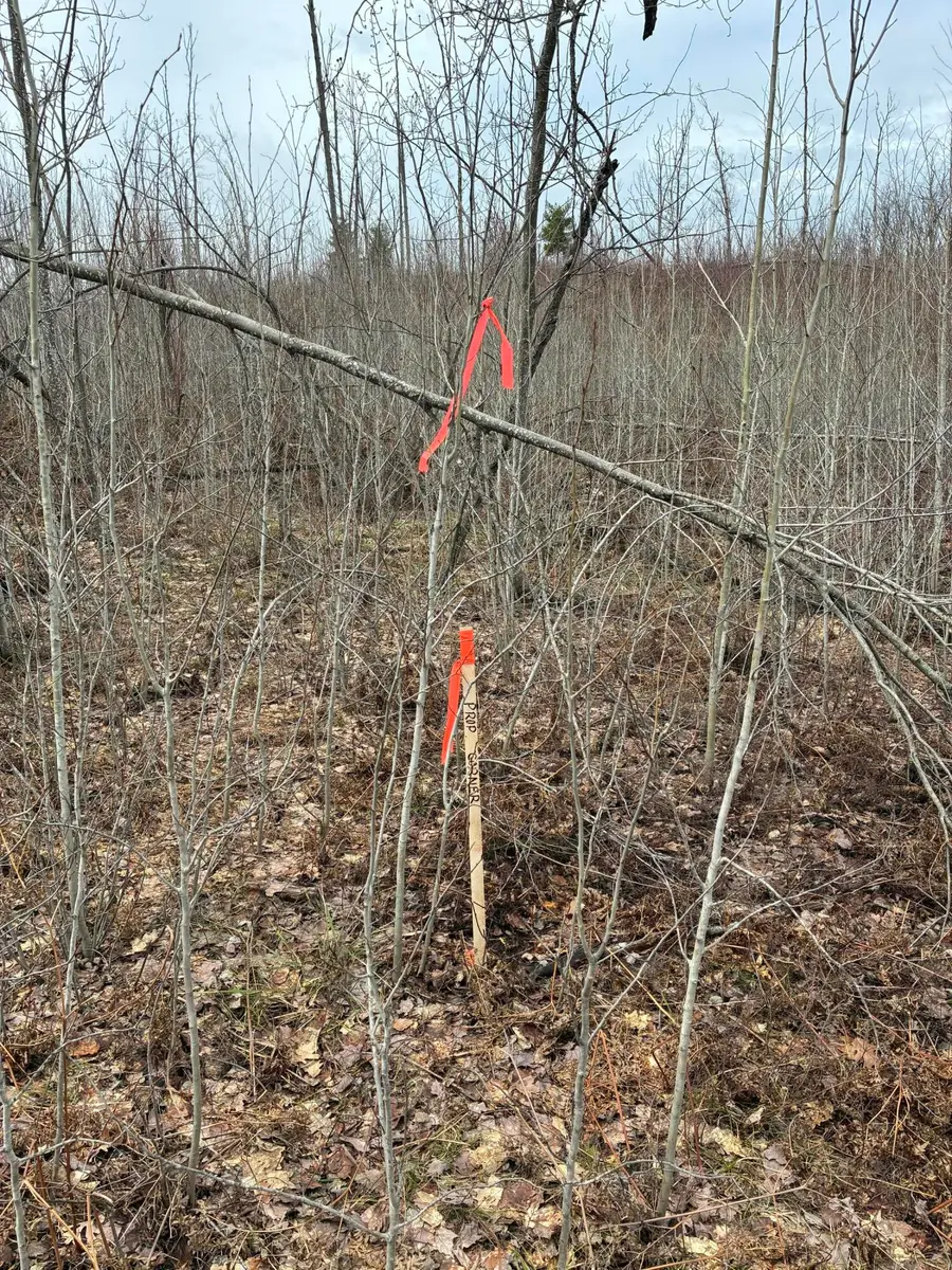 Parcel A Neumann Road, Lewiston, MI 49756 - #3