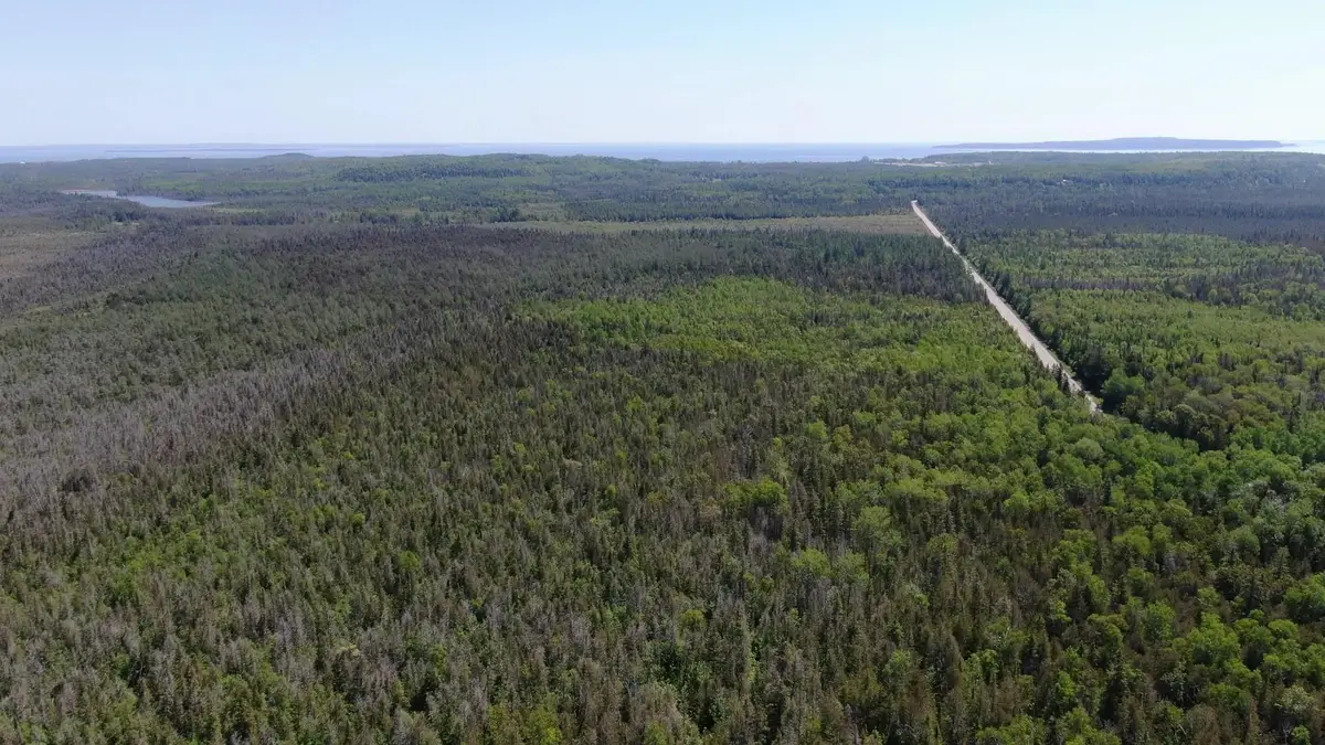 40 AC Cheeseman Road, Saint Ignace, MI 49781 - #1