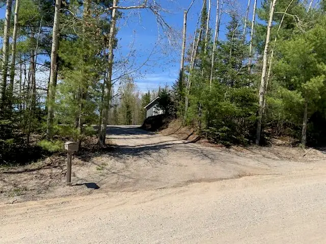2652 Mont Gabriel Road, Wolverine, MI 49799 - #2