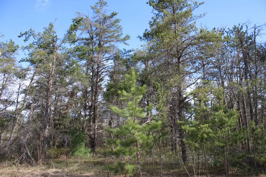 4489 Pine Road, Lewiston, MI 49756 - #3