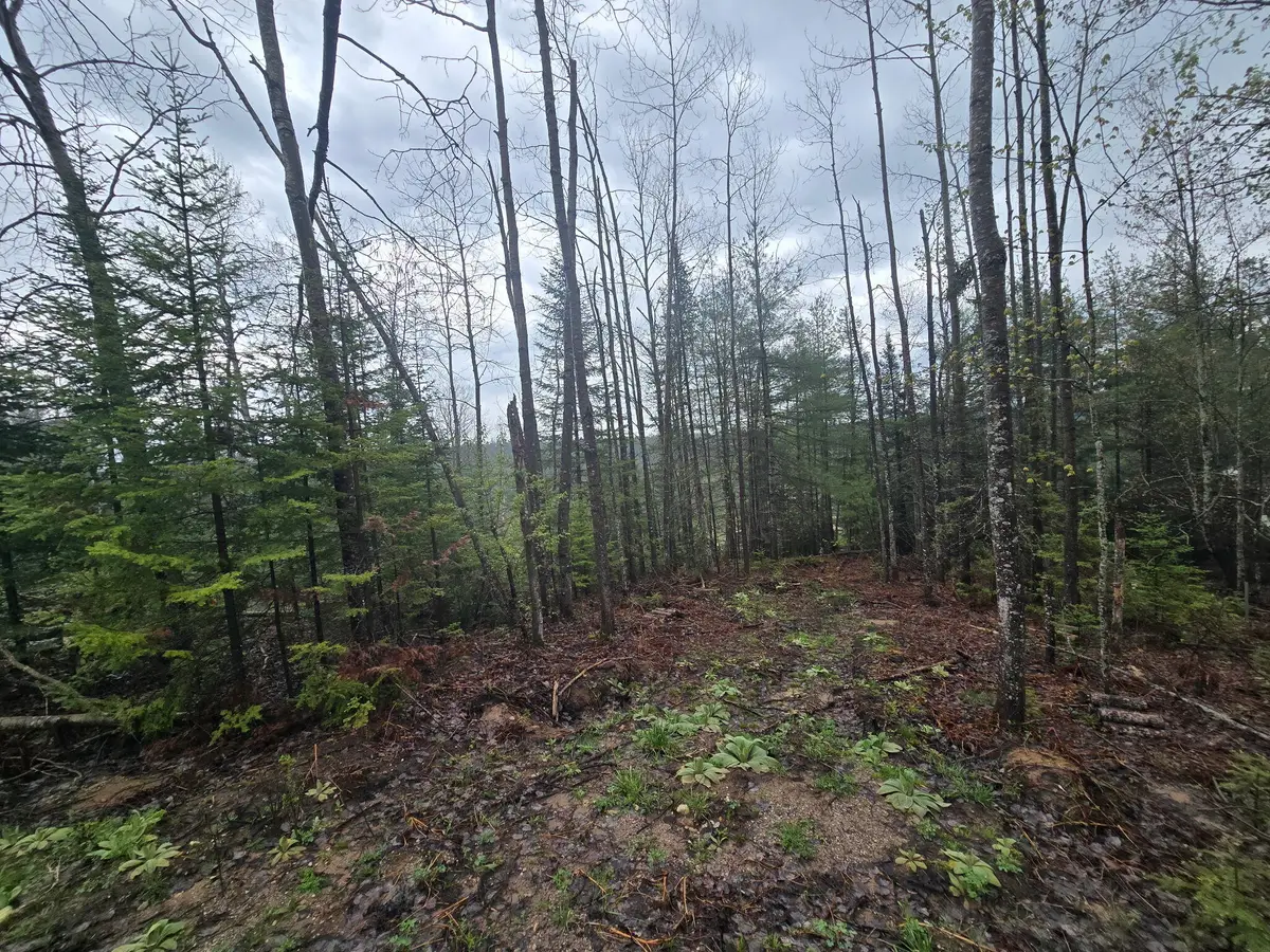 14453 W Shoreline Drive, Wolverine, MI 49799 - #1