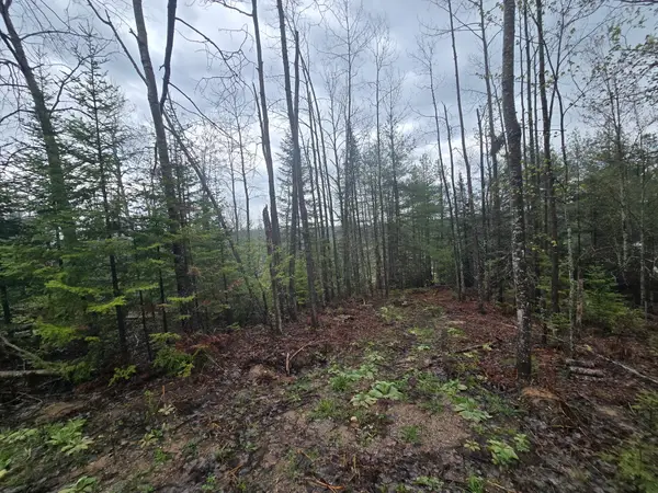 14453 W Shoreline Drive, Wolverine, MI 49799