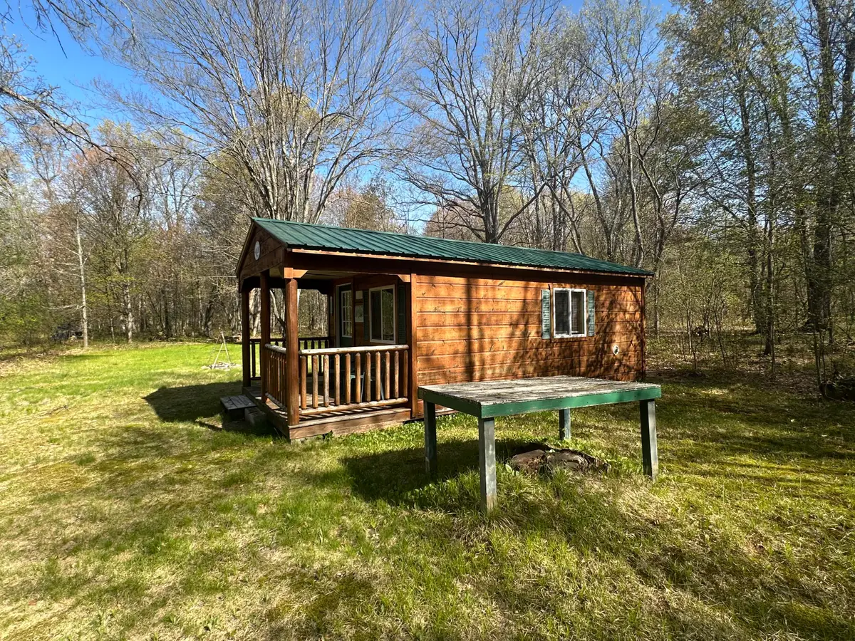 Parcel D S County Line Road, Kalkaska, MI 49646 - #1
