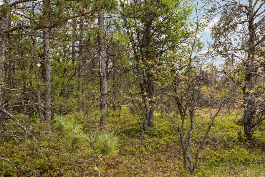 110 Acres Winding Road, Lewiston, MI 49756 - #3