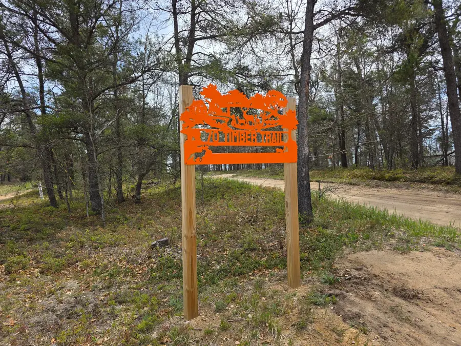 70 W Timber Trail, Grayling, MI 49738 - #2