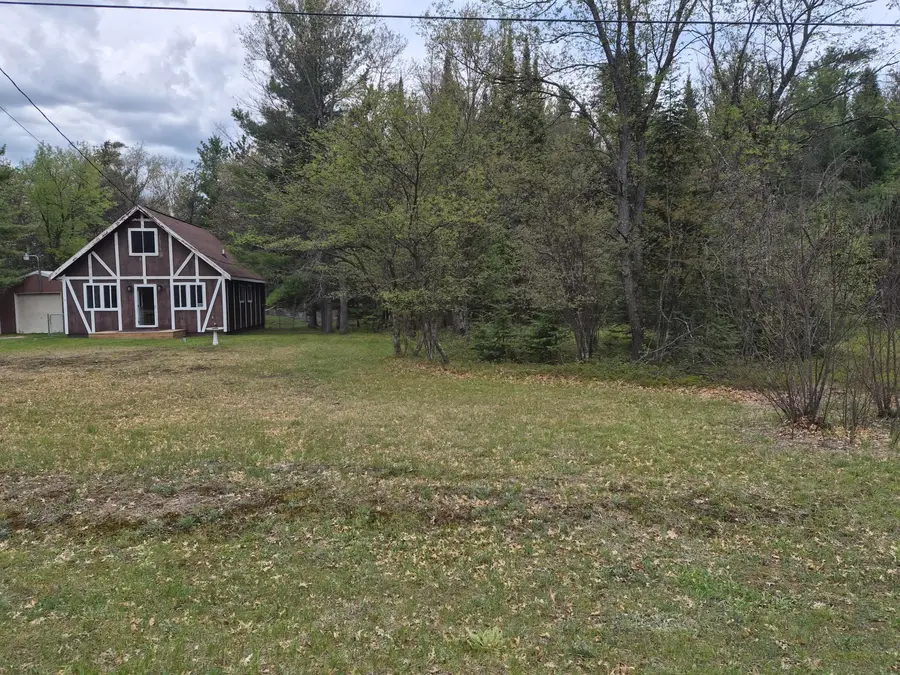 10441 Alpenhof Drive, Grayling, MI 49738 - #3