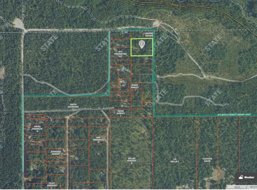 21331 Red Oak Trail, Hillman, MI 49746 - #2