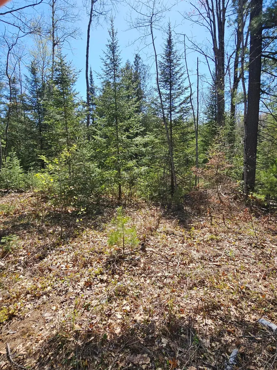 2.95 AC Squires Drive, Mio, MI 48647 - #3