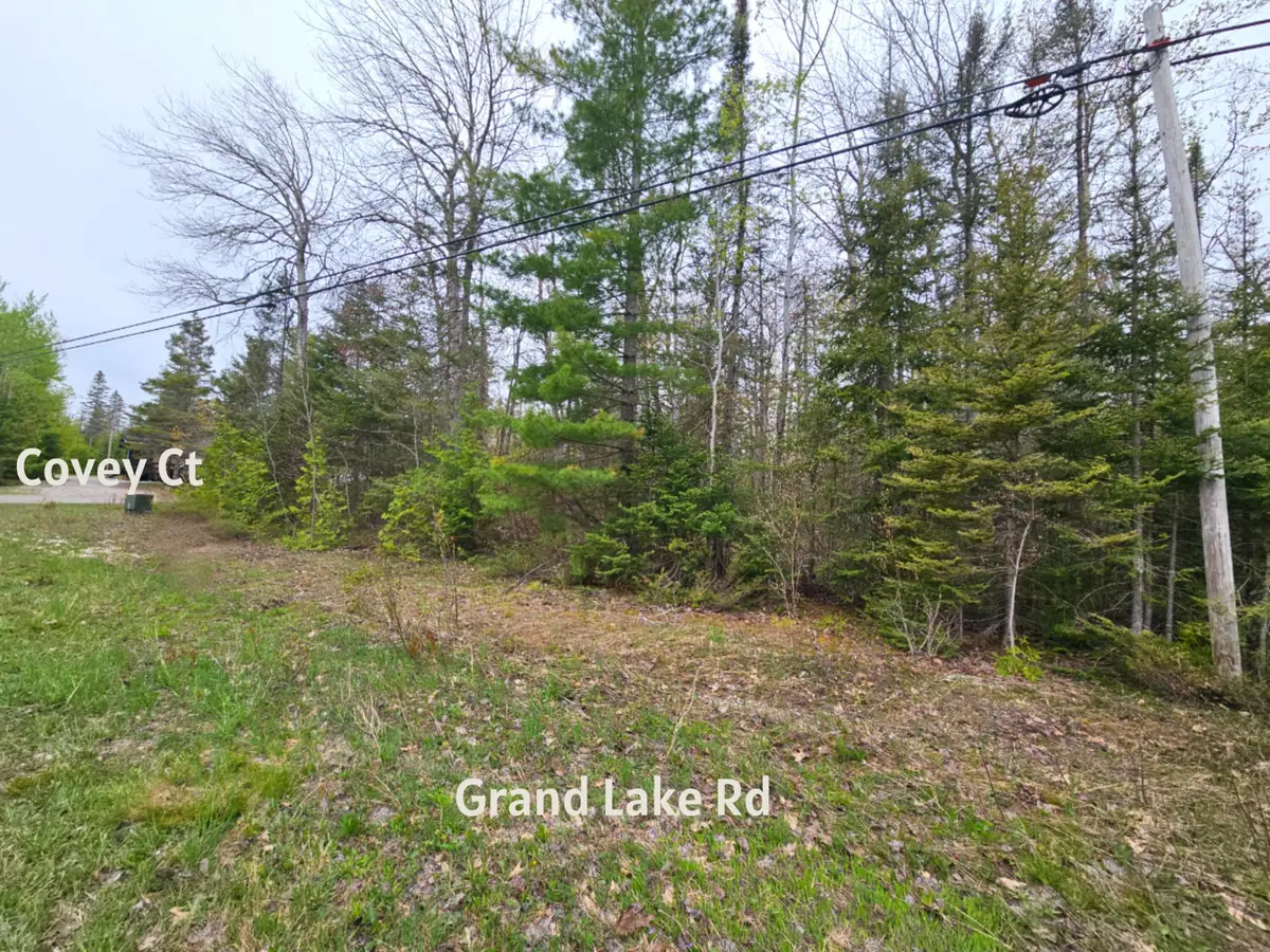 Lot 204 Esau Terrace, Presque Isle, MI 49777 - #1