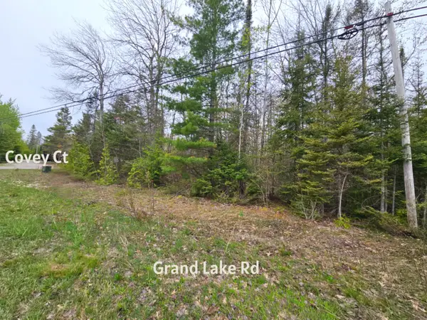 Lot 204 Esau Terrace, Presque Isle, MI 49777