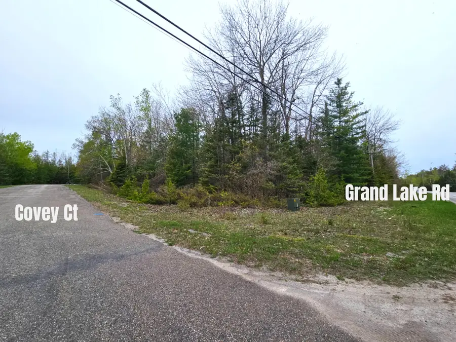 Lot 204 Esau Terrace, Presque Isle, MI 49777 - #3