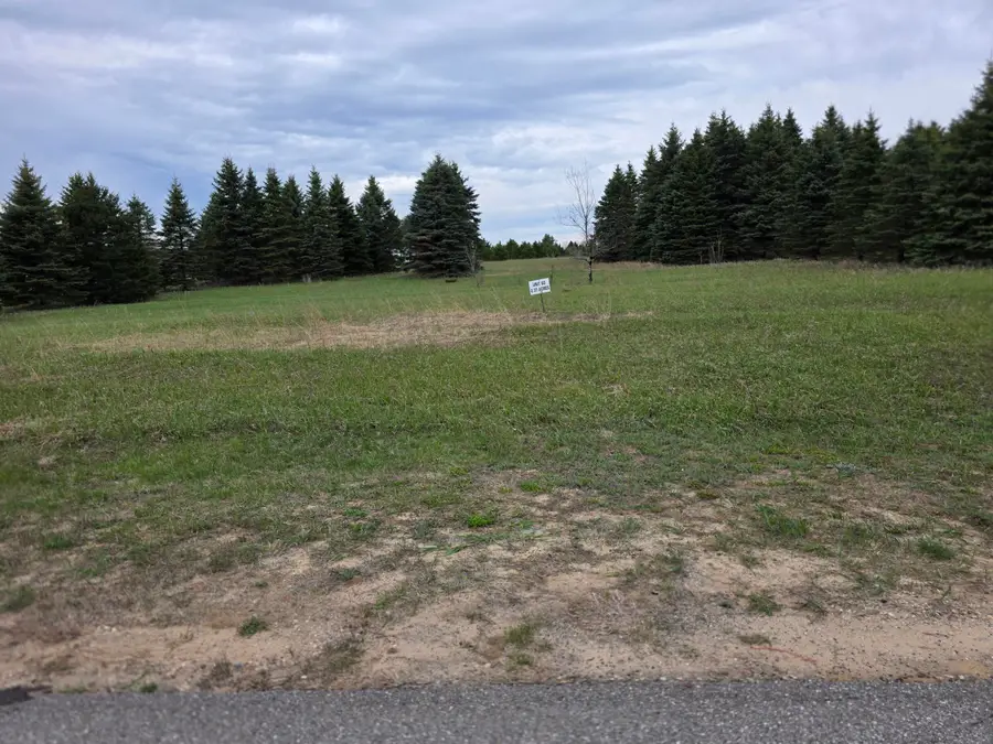 31 Blue Heron Drive, Kalkaska, MI 49646 - #3