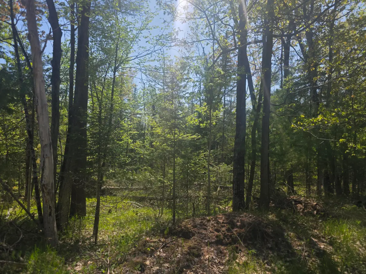 Lots 9-10 N Lakeshore Drive, Harrisville, MI 48740 - #1