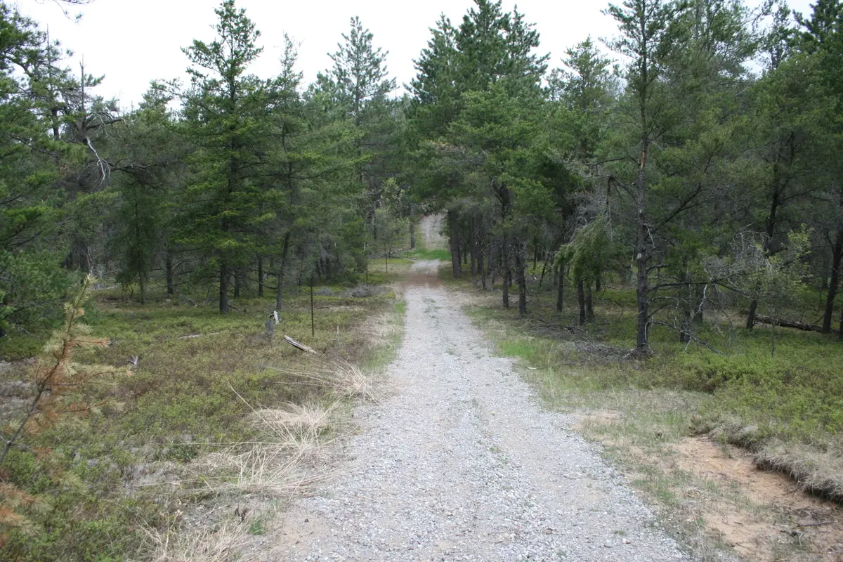 13 Acres Eagle Way, West Branch, MI 48661 - #1