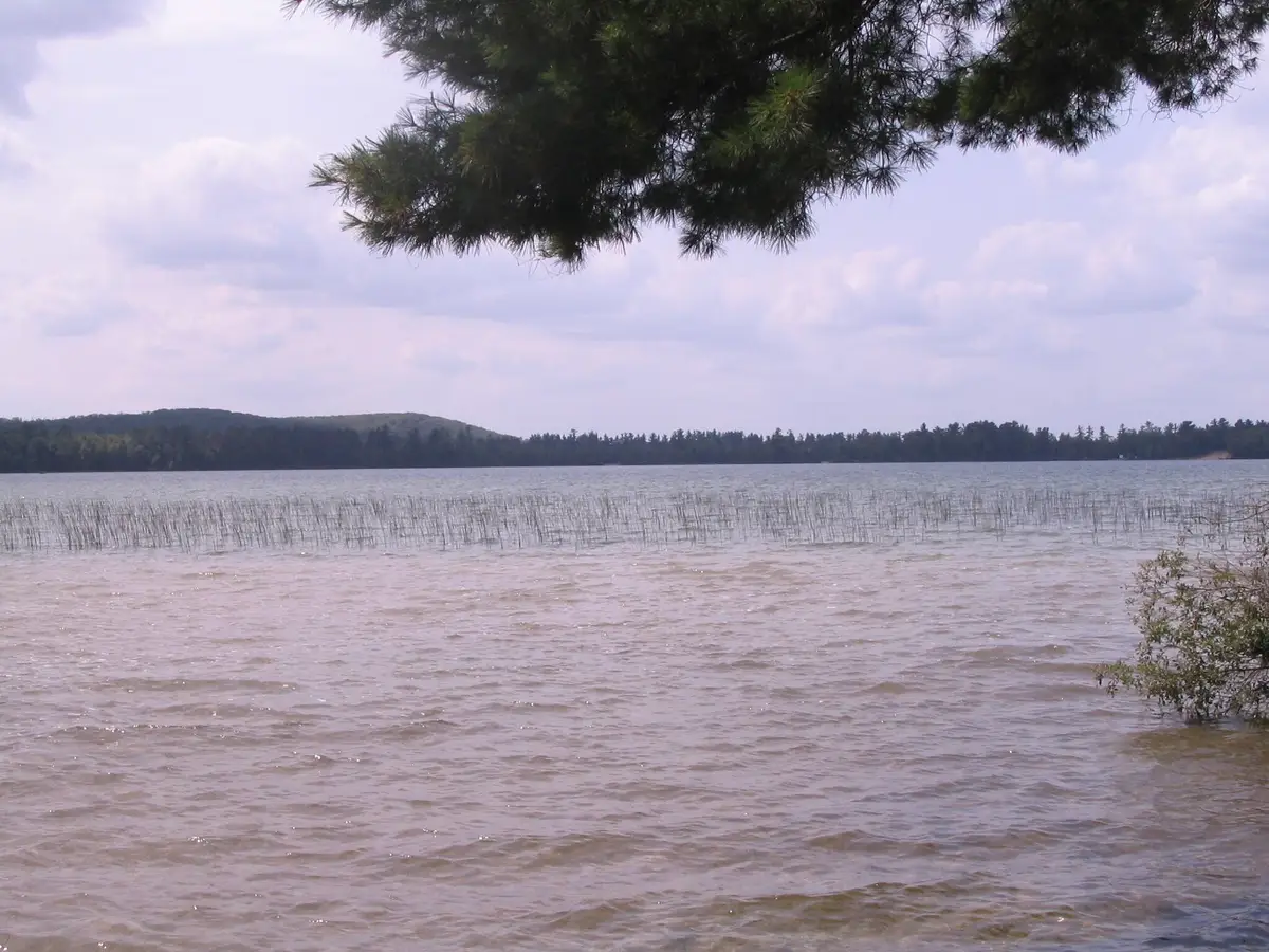 Parcel 5 Ray Avenue, Grayling, MI 49738 - #1