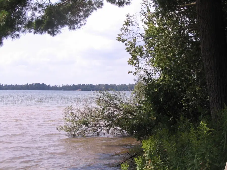 Parcel 5 Ray Avenue, Grayling, MI 49738 - #3