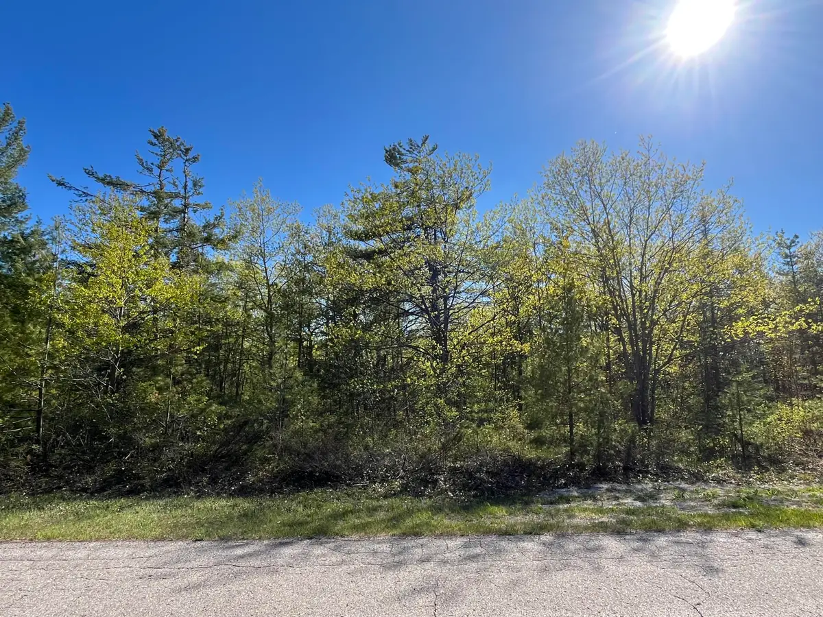 Lot 165 Pineview Drive, Presque Isle, MI 49777 - #1