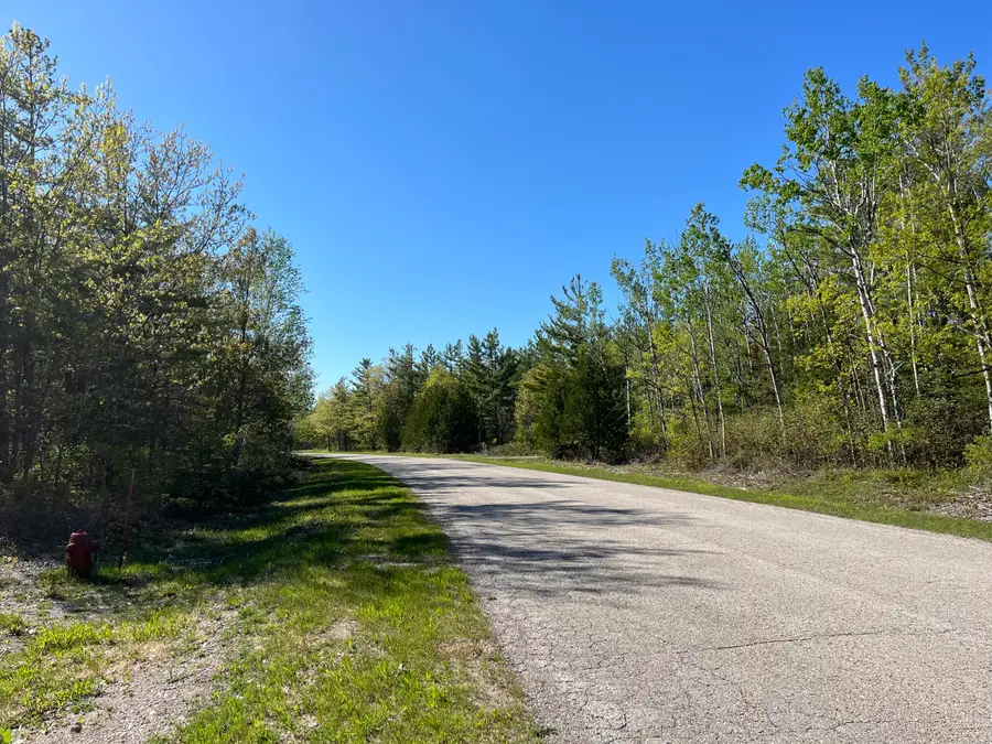 Lot 165 Pineview Drive, Presque Isle, MI 49777 - #3