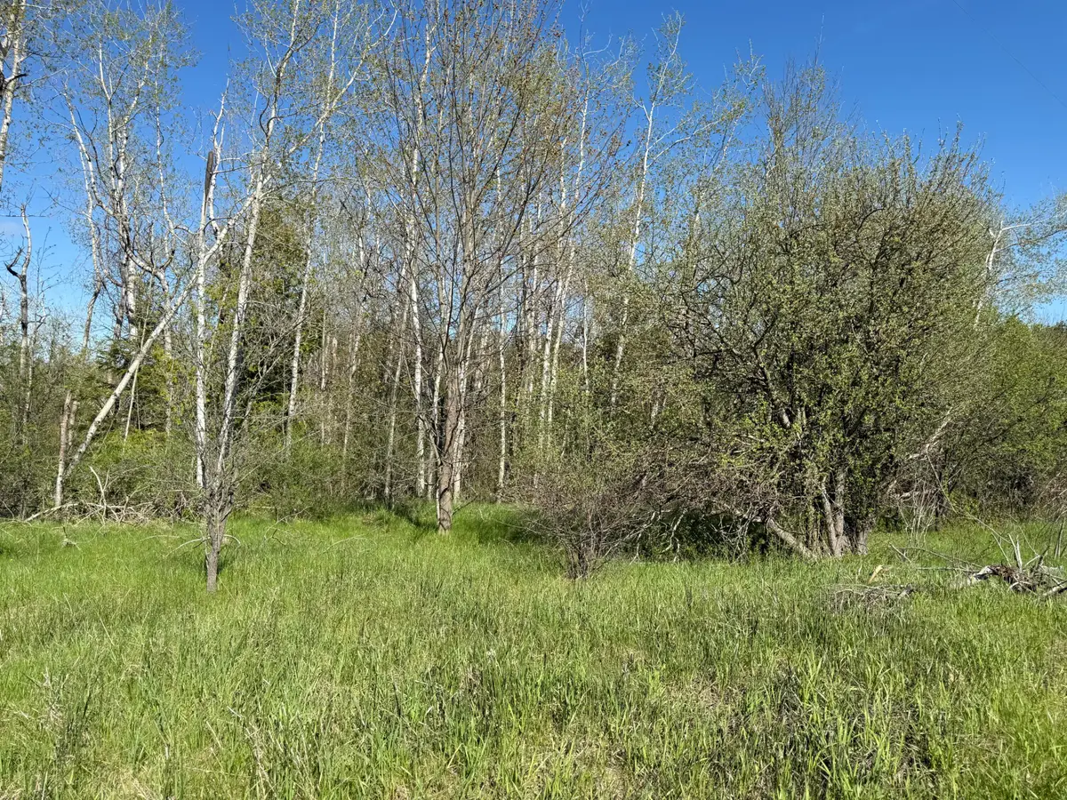 6330 S River Road, Cheboygan, MI 49721 - #1