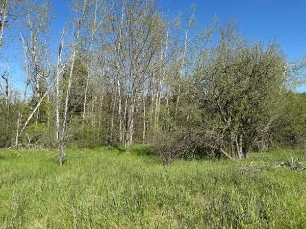 6330 S River Road, Cheboygan, MI 49721