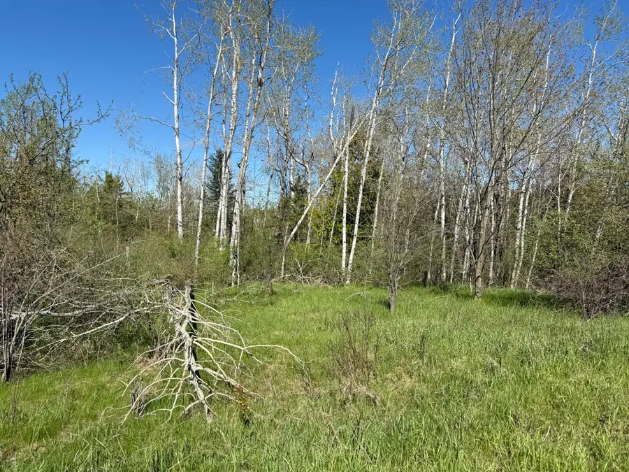 6330 S River Road, Cheboygan, MI 49721 - #3