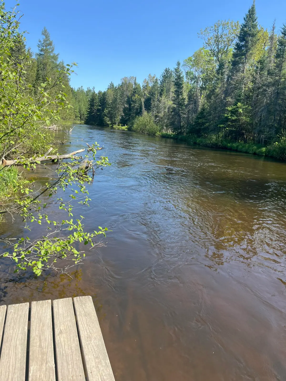 1655 Speckled Trout Trail, Grayling, MI 49738 - #1