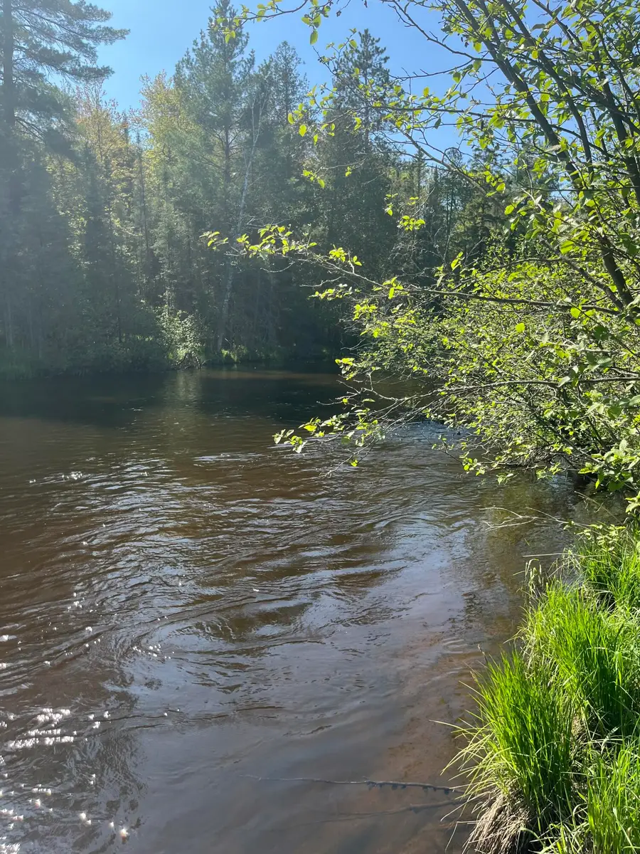 1655 Speckled Trout Trail, Grayling, MI 49738 - #3