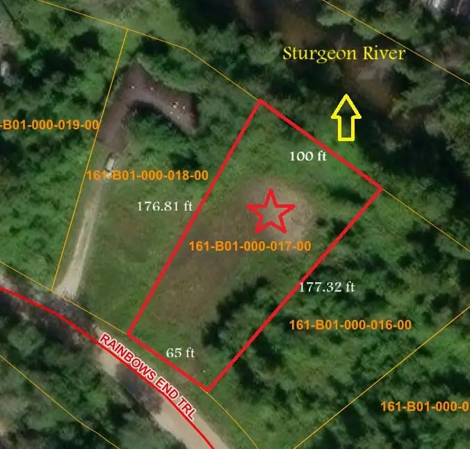 4229 Rainbow End Trail, Indian River, MI 49749 - #1
