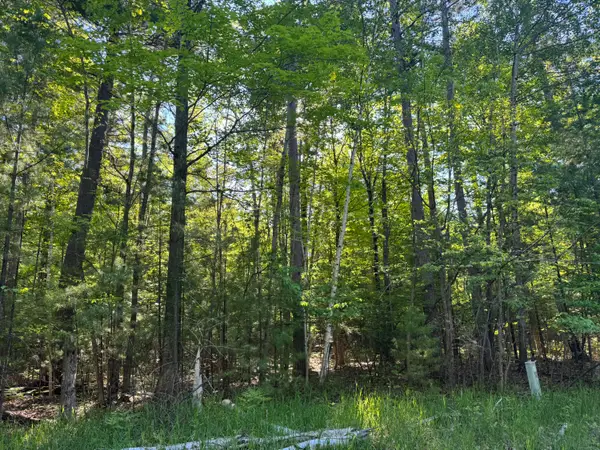 6310 Link Boulevard, Indian River, MI 49749