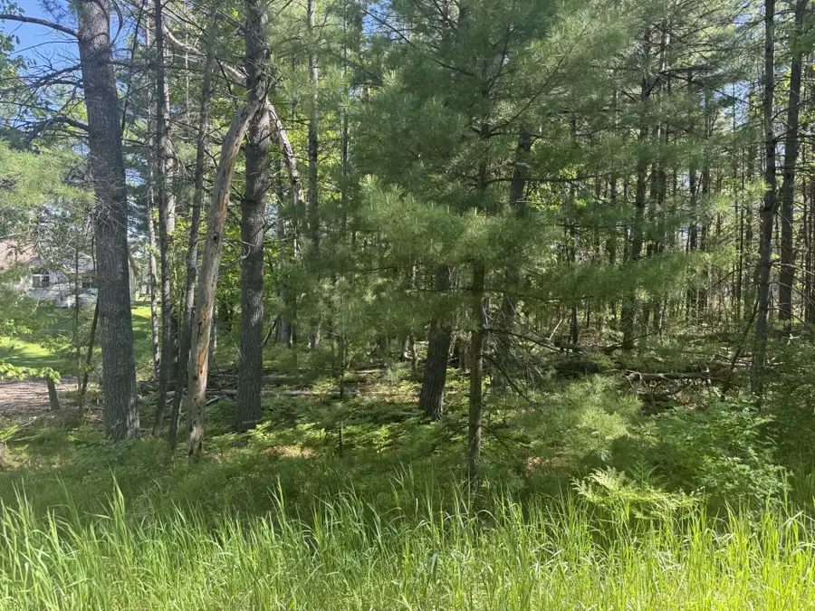 24 W Nestel Road, Prudenville, MI 48651 - #3