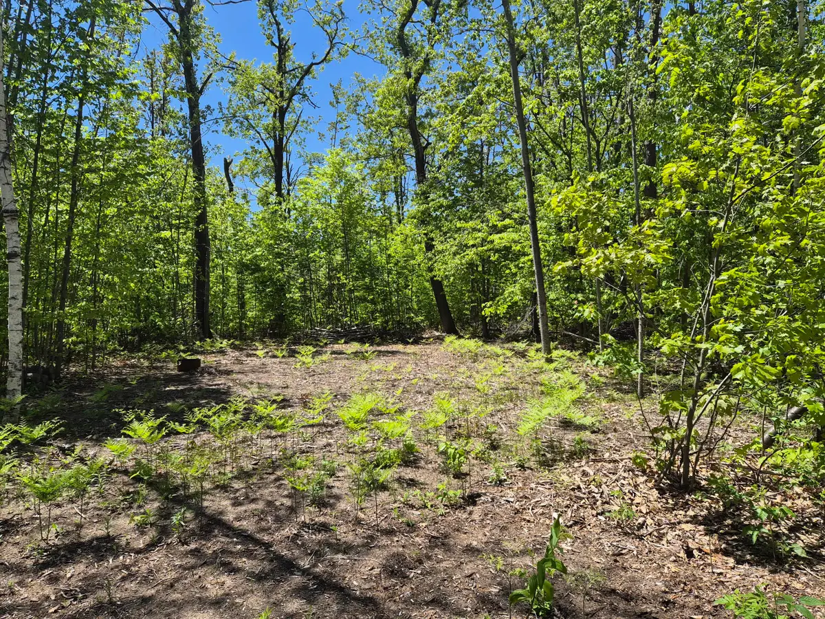 187-188 Primrose Trail, Gaylord, MI 49735 - #1